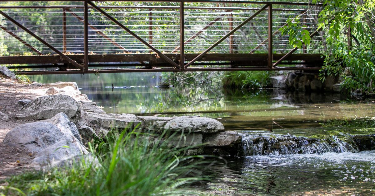 El Dorado Nature Center photo 7