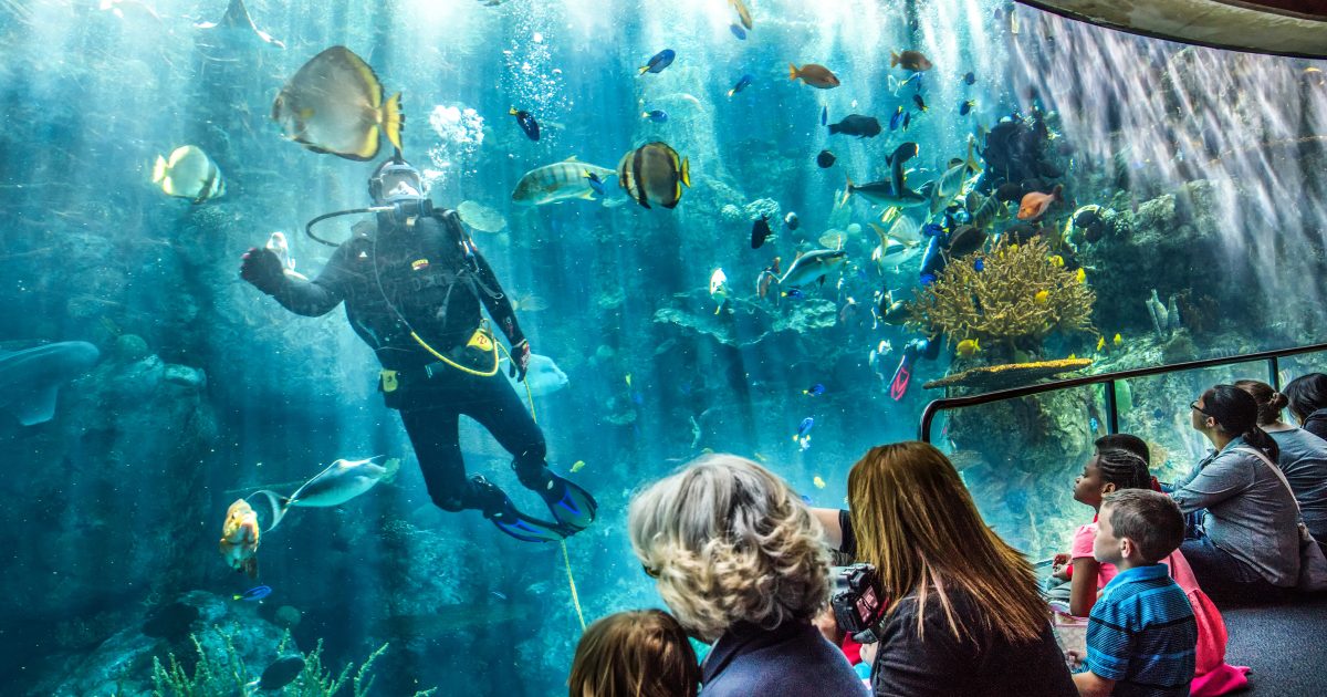 Aquarium of the Pacific (Long Beach, California)