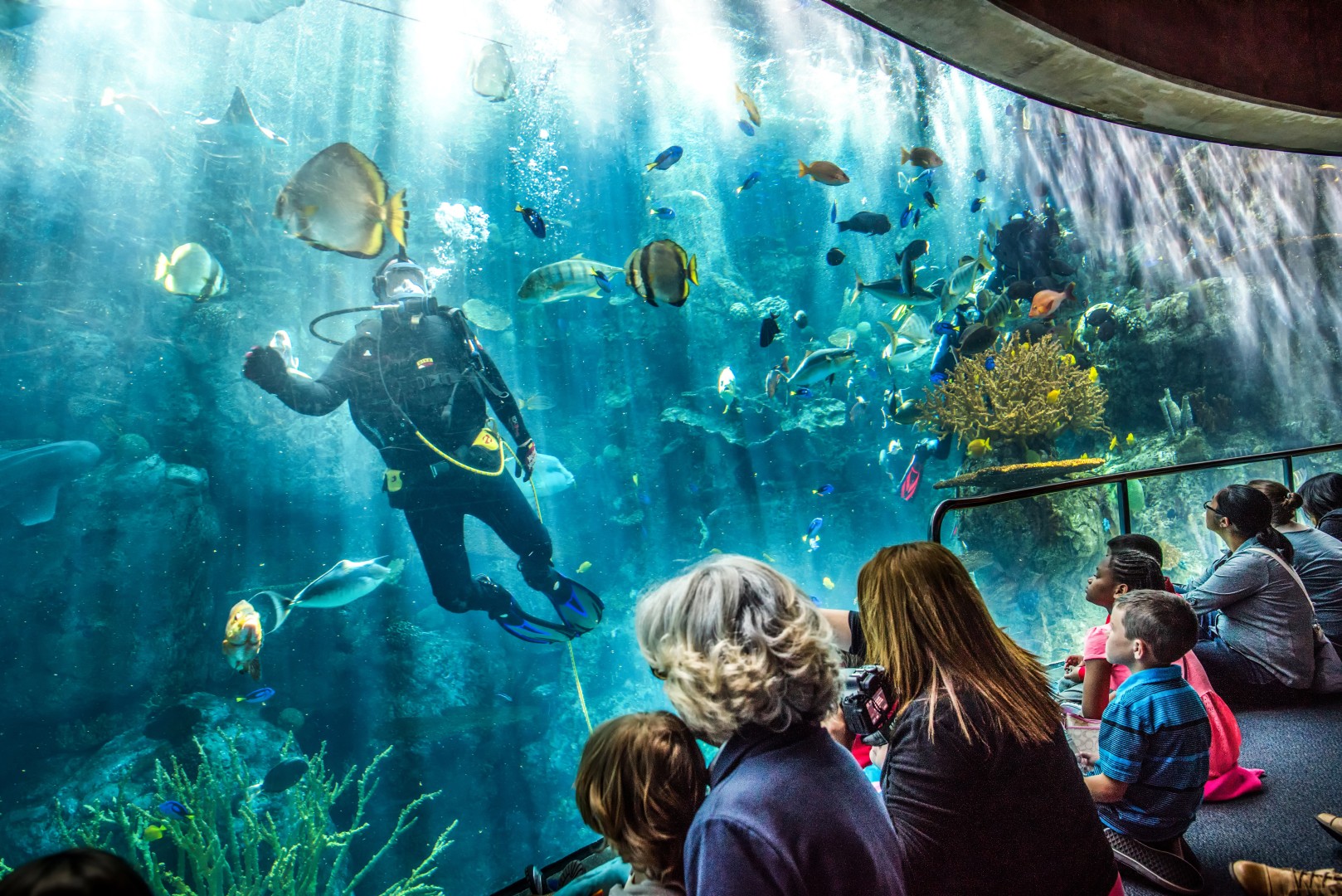 long beach aquarium field trip cost