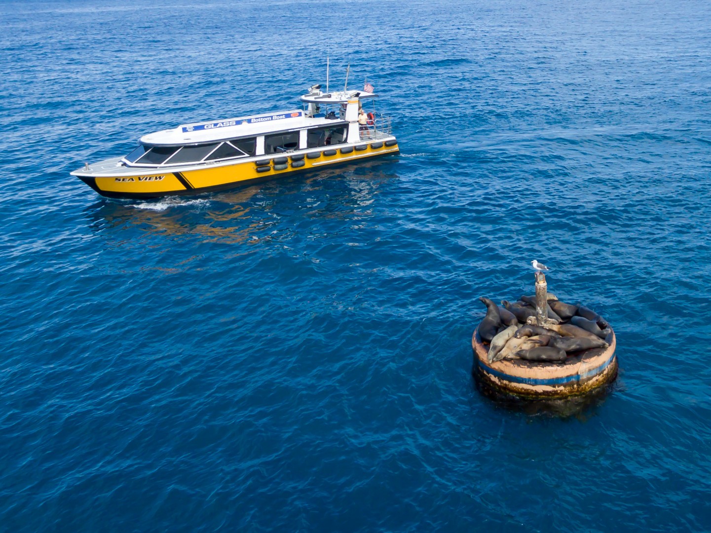 catalina atv tours